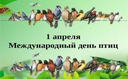 паеро